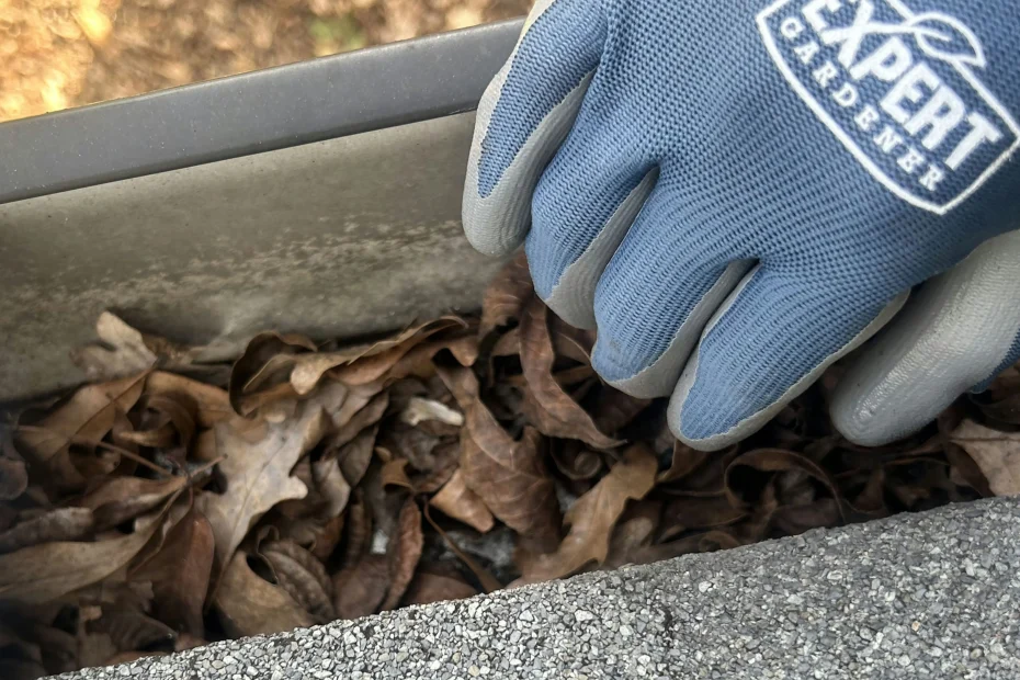 Gutter Cleaning East Cleveland