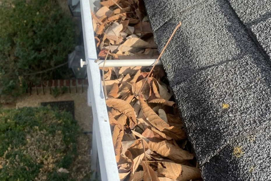 Gutter Cleaning East Cleveland